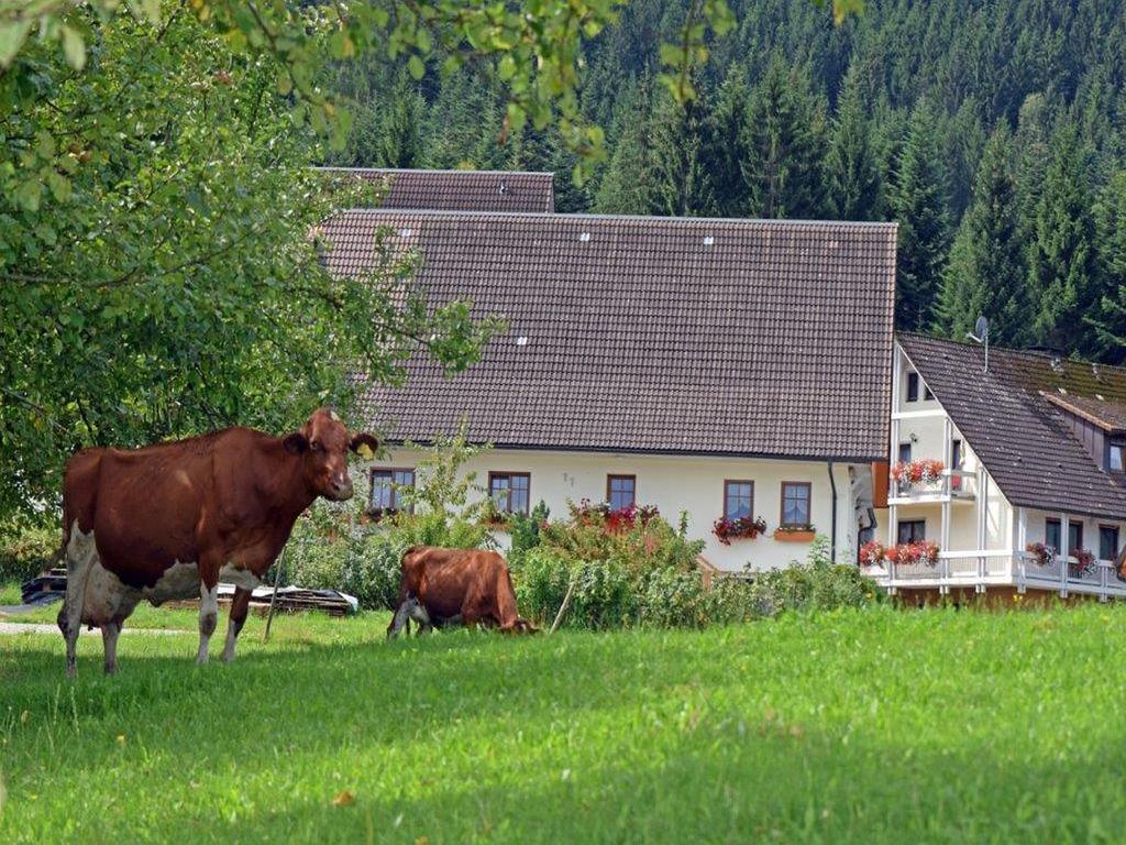 Loecherhansenhof Apartamento Bad Peterstal-Griesbach Exterior foto